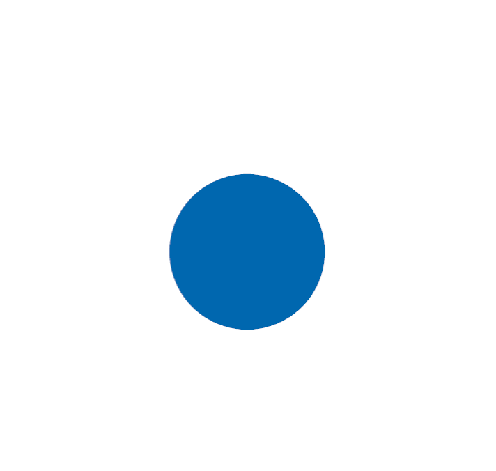 SALEM Ecuador Logo